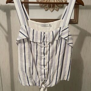 Zara Blue and White Striped Women's Crop Top